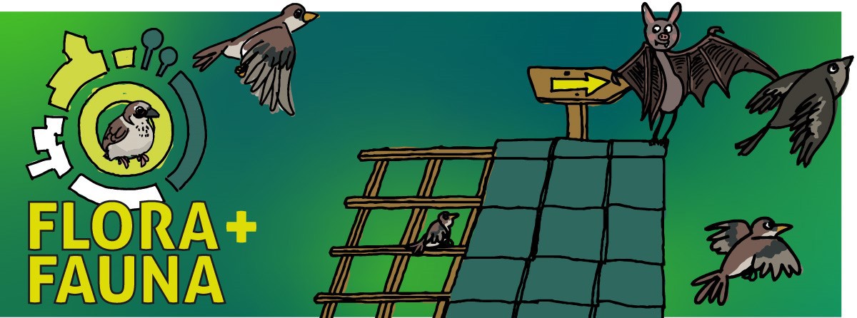 Intranet Bericht Afbeelding (1)